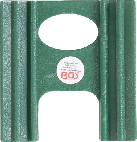 BGS